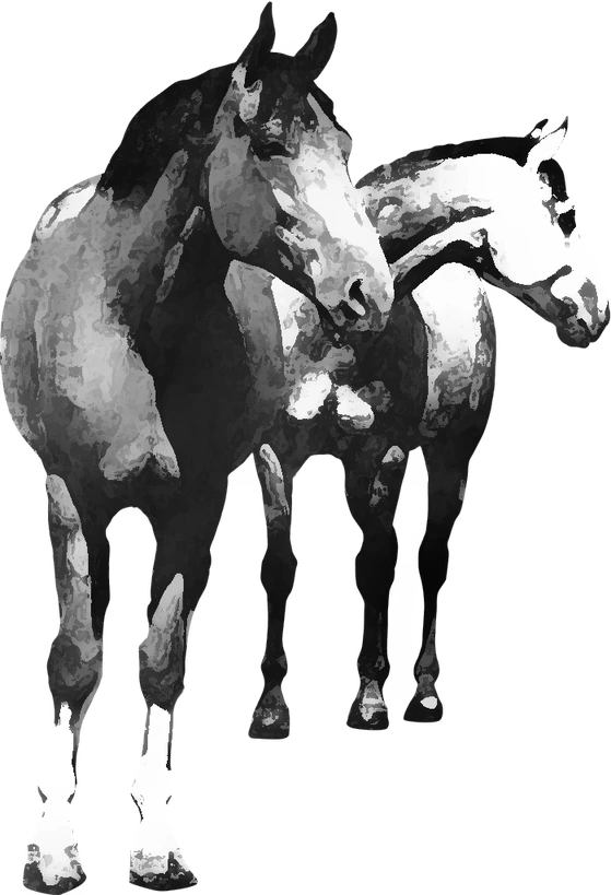 Centre équestre Cheval'Envol, Vindry-sur-Turdine — deux chevaux